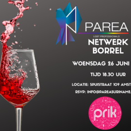 Network Drinks @Cafe Prik Amsterdam
